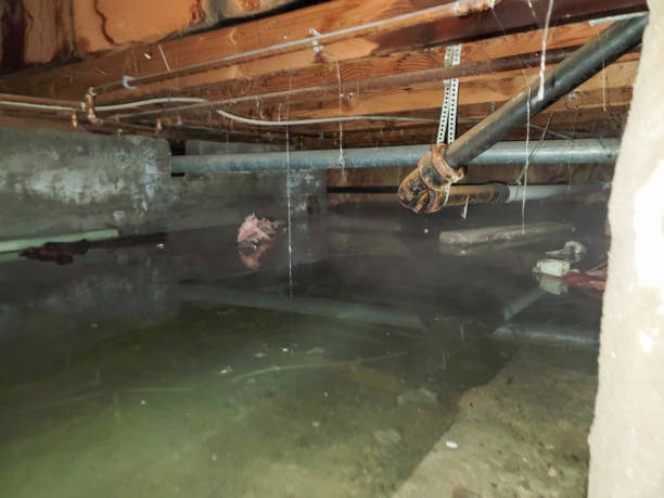 Best Ceiling water damage repair  in Hobart, OK